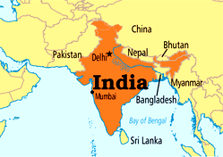 India records 2,020 COVID-19 deaths in single day
