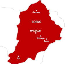 Breaking: Explosions, heavy gun shooting rock Maiduguri outskirts
