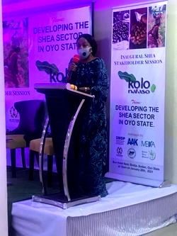 NGO to empower 30,000 Oyo women on best practices for quality Shea nut collection