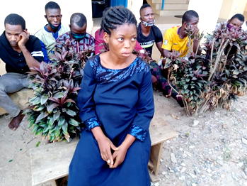 We use human parts proceed to drink beer, have fun – Suspect