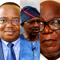 Covid-19 and the Professors by Femi Adesina