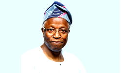PROF ADAMOLEKUN: Shocking South Africa Visa Denial