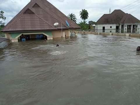 Residents swim to houses as flood sacks Delta communities lailasnews 2 Jalingo flood: FG distributes relief materials to 4,000 displaced persons