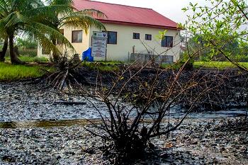 Crude oil leak rocks Bayelsa community