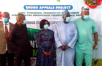 Why APPEALS project focuses on Agric value addition — Project Coordinator