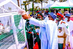 Reactions: Why pigeons refused to fly on Armed Forces Remembrance Day