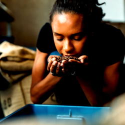 Why loss of smell, taste are indicators of coronavirus infection 