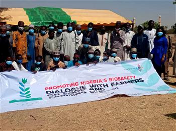 Farmers in Kano call for ban on GMOs