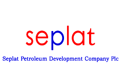 Experts chart course at Seplat education round table