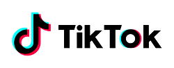 Nigerian TikTok creators to watch out for in 2021 throughout 2020