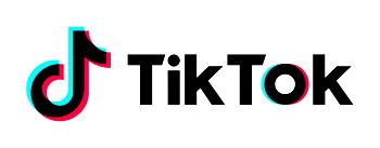 Nigerian TikTok creators to watch out for in 2021 throughout 2020