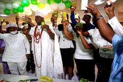 Ooni unveils COVID-19 herbal drugs