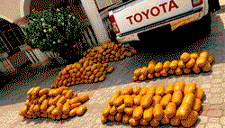 Many youths dying due to intake of hard drugs-AFI