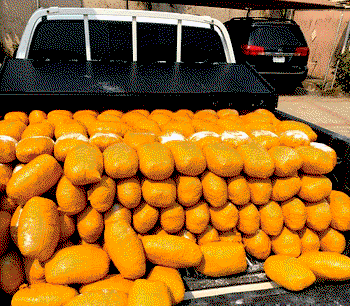 Lagos to Kano with Drugs: NDLEA intercepts 394 blocks of marijuana escorted by 2 fake soldiers