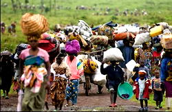 Over 2m people remain displaced in Northeast Nigeria — EU Ambassador