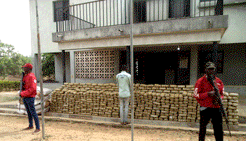 NDLEA seizes 1,292kg of illicit drug in Ondo forest, arrests 9