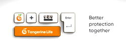 Tangerine Life completes merger with ARM Life