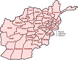 Levels of torture remain high in Afghan state detention centres – UN