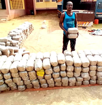NDLEA uncovers N1.4b worth cannabis warehouse, intercepts truckload of illicit drug in Benue