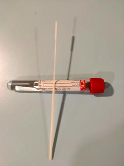 Coronavirus Antibody Tests And PCR Tests Explained