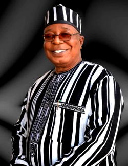 Defence Minister’s call for self-defence: Benue tribal leaders urge FG to legalize ownership of firearms