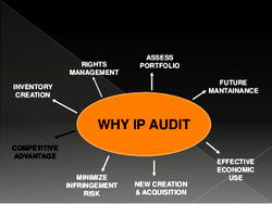 Intellectual property audit for mergers and acquisition