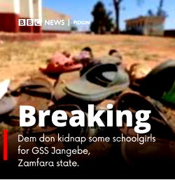 Minna Bus Kidnap: Our close shave with death— Victims