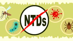 YEDI tasks FG, States on NTDs, takes outreach to Kosofe LGA