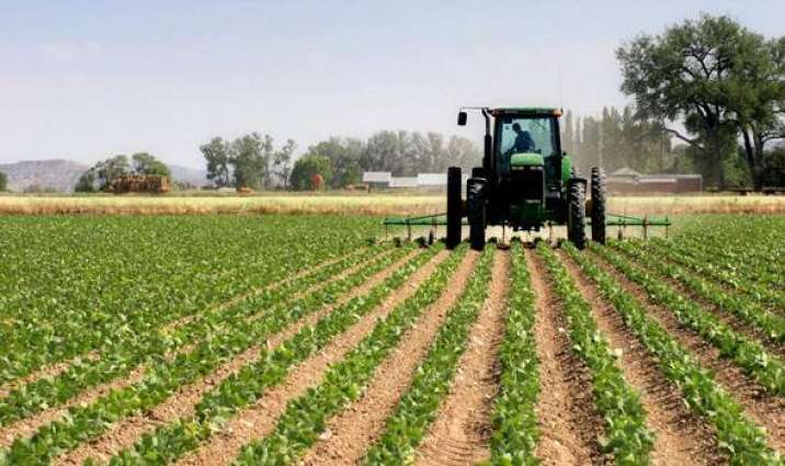 Agribusiness: SWEER Global Farms to boost farmers’ productivity with quality farm inputs