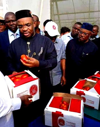 Agriculture: Akwa Ibom’s second oil