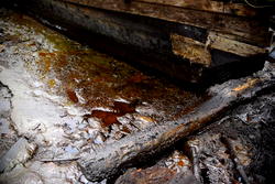 Environmental pollution, cause of low life expectancy in Nigeria ― Survey