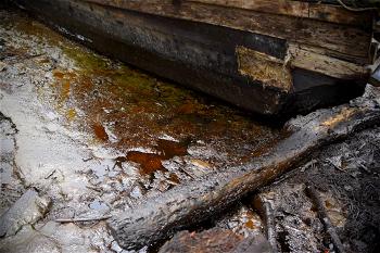 OIL SPILL: Farmers, fisherman cry out over loss of livelihood in Bayelsa community