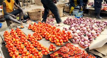 Tomato, onion sellers attribute further drop in prices to glut in Enugu