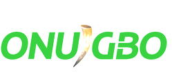 Ndi Igbo Online Media platform debuts