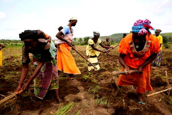 AGRICULTURAL COOPERATIVES: Supporting Kogi women for economic development