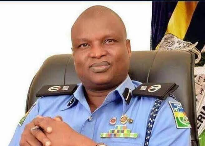 Extra-Judicial Killings: Kyari shuns panel’s summon