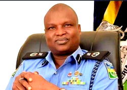 Extra-Judicial Killings: Kyari shuns panel’s summon