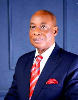 It’s mad propaganda to say Igbo don’t like APC — Nwokafor