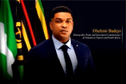 Cersèi Partners’ Olufemi Badejo appointed as Trade and Investment Commissioner of Vanuatu in Nigeria
