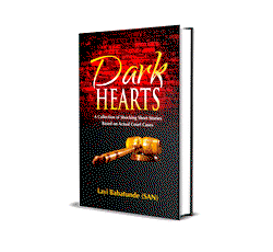 Book Review: Layi Babatunde, SAN, brings intriguing legal stories into print