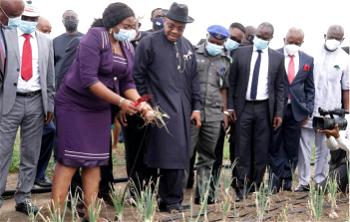 Crop production, top priority of my administration — Gov Emmanuel