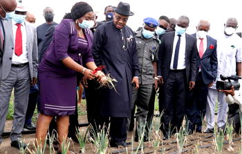 Crop production, top priority of my administration — Gov Emmanuel