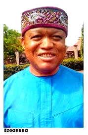 Our democracy still stuck in military tradition – Ezeanuna
