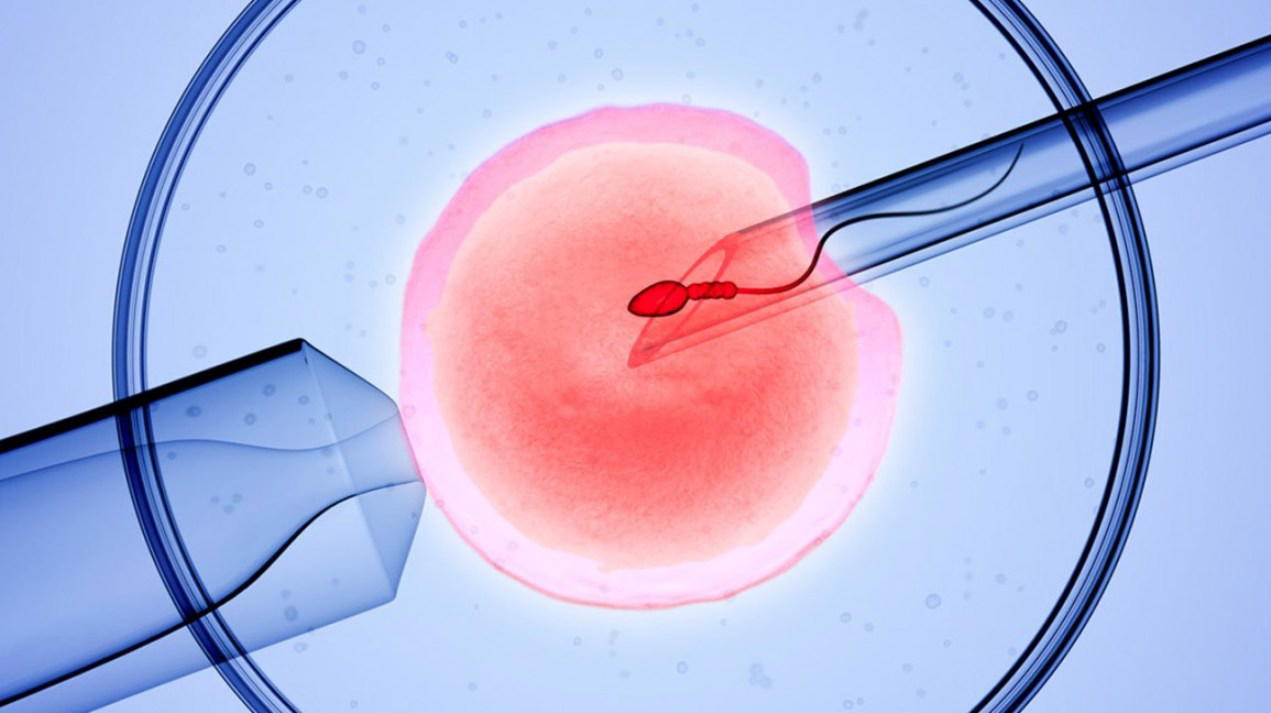 How MART-Life produced 3,000 IVF babies in 30 years — Prof Ashiru