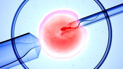 Experts warn against rising exploitation in IVF