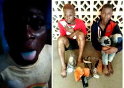 Police arrest 6 suspected robbers, cultists in Lagos, recover arms