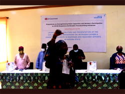 Kaduna leads in women inclusion in governance – UN Women