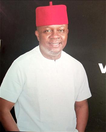 Anambra Guber: Soludo’s ambition least of my worries – Ozigbo
