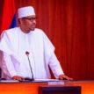 Kanu, Igboho not Nigeria’s problem, Ozobo, N’Delta activist tells Buhari