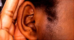 One in four people will have hearing problems by 2050: WHO
